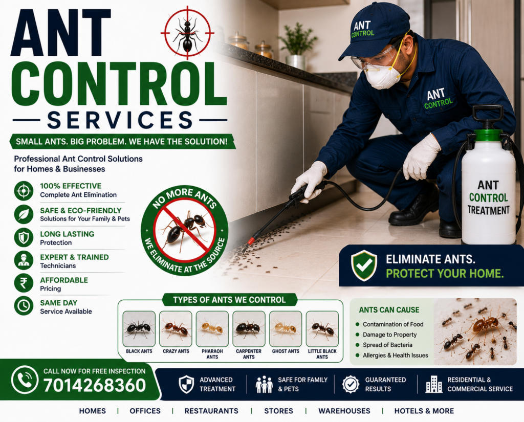 Professional ant control technician applying ant treatment along a kitchen floor to eliminate ant infestations and provide long-lasting ant control protection for homes and businesses.